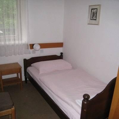 Hostel Pod Voglom