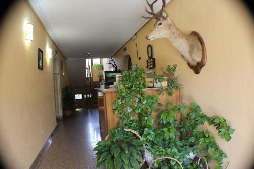 Hotel Las Nieves