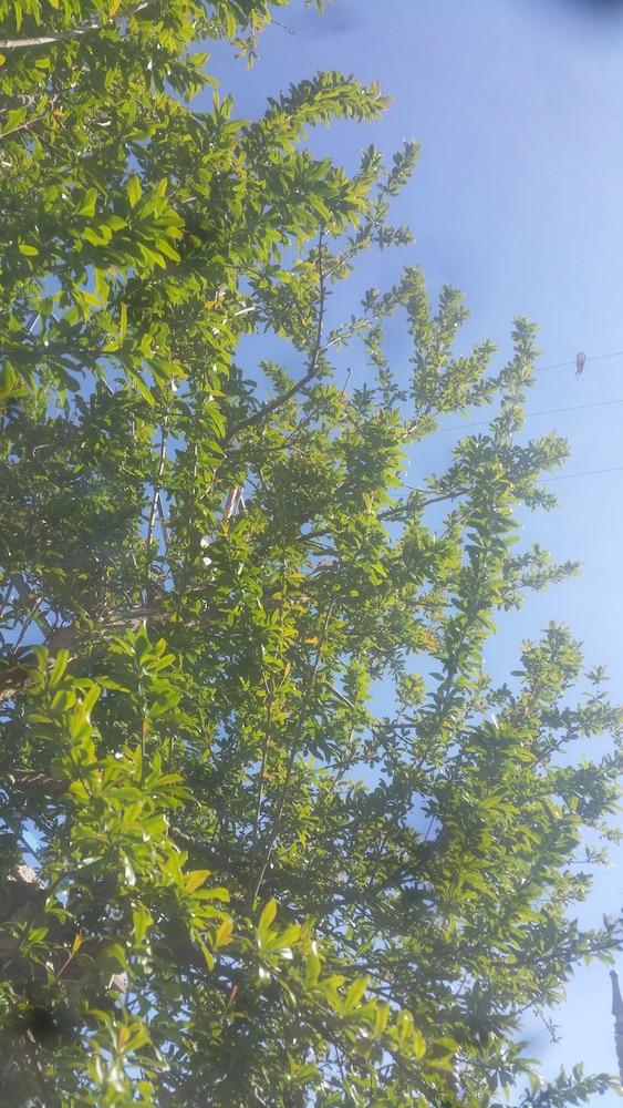 Vila Blu