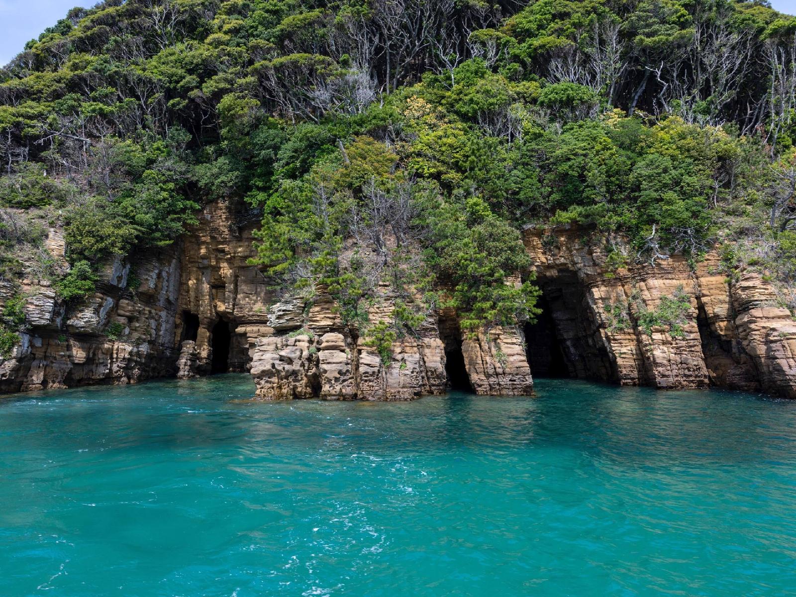 Kairi Murakami