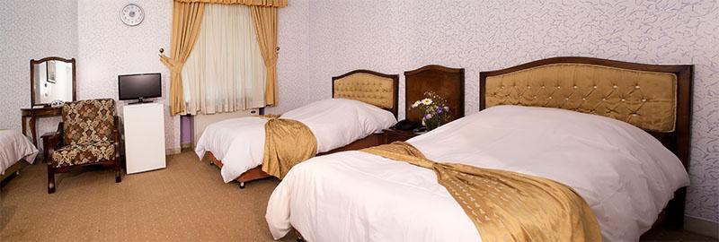 Hally Hotel