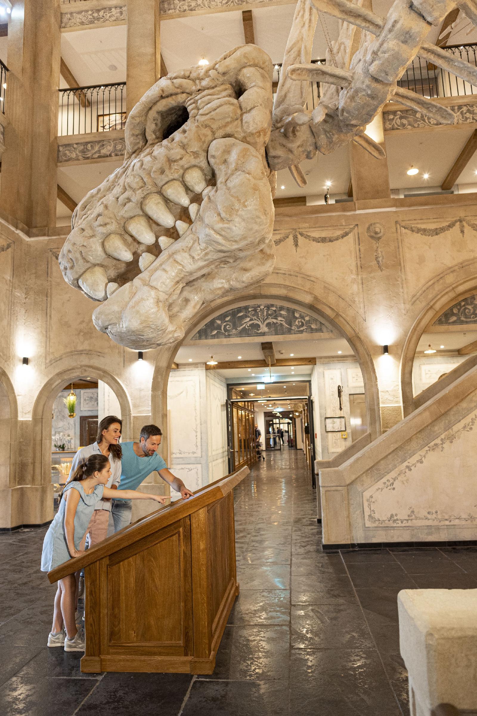 Kronasar – The Museum-Hotel