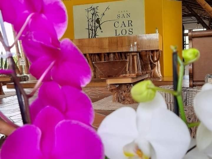 Hotel Casa San Carlos Lodge