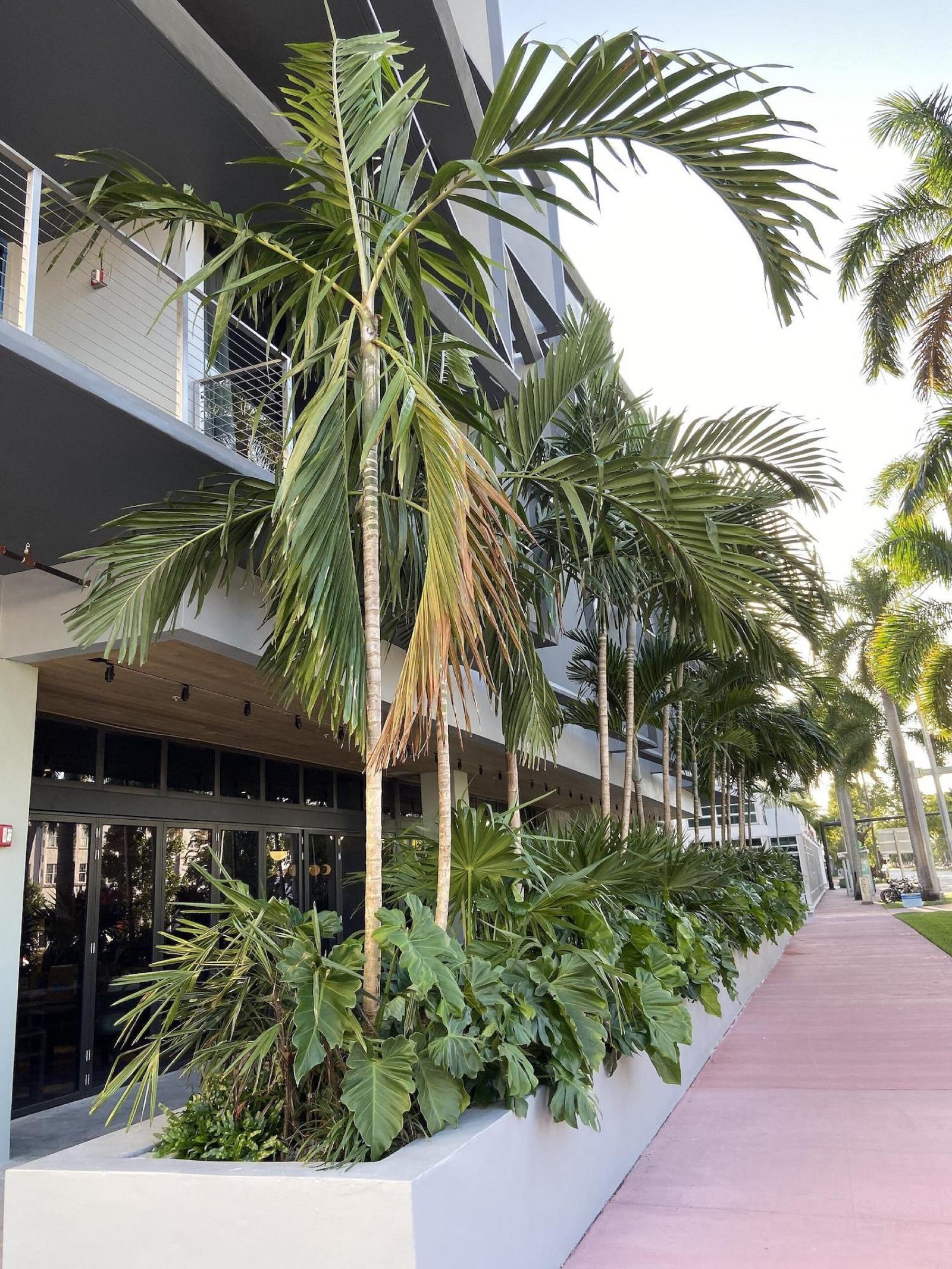 The March Hotel