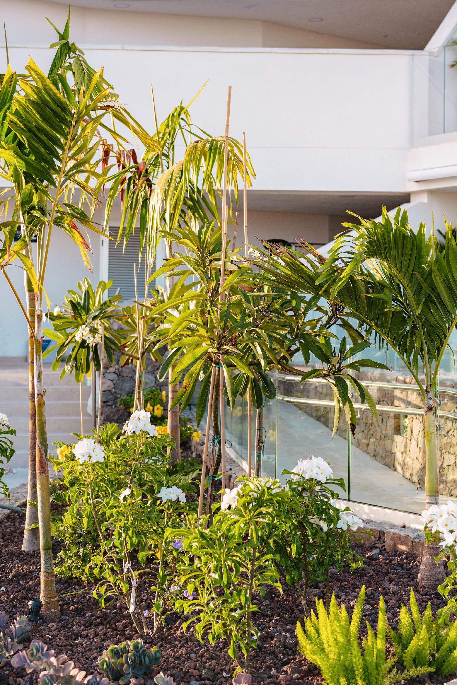 Grand Horizon Boutique Resort