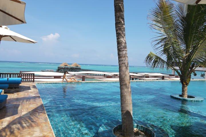 Le Mersenne Zanzibar, Autograph Collection