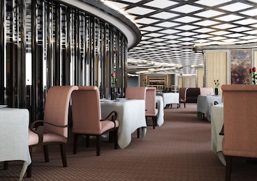 Imagen de Silver Muse