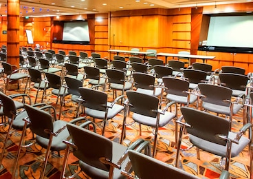 Imagen de Allure of the Seas