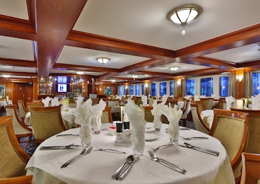 Imagen de MS Elegant Lady