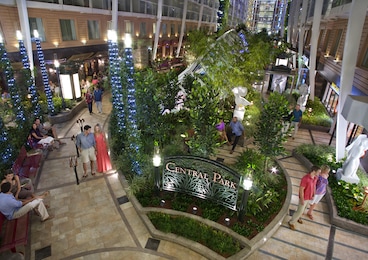 Imagen de Allure of the Seas