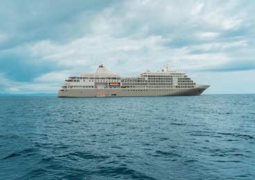 Imagen de Silver Shadow