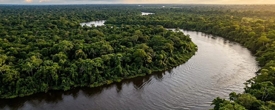 Cruceros fluviales por el río Amazonas Cruceros fluviales por el río Amazonas