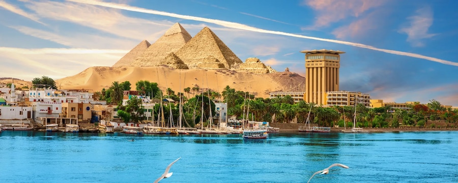Cruceros por Aswan (Egipto) Cruceros por Aswan (Egipto)