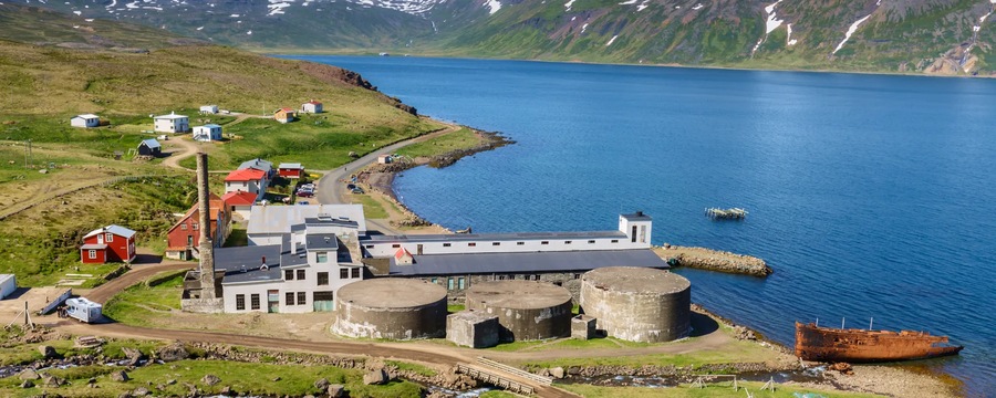 Cruceros por Djupavík, Islandia Cruceros por Djupavík, Islandia