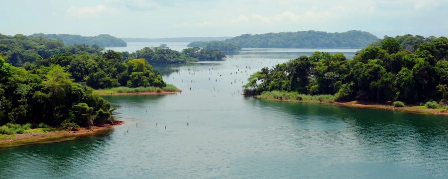 Cruceros por Lago Gatún (Panamá) Cruceros por Lago Gatún (Panamá)