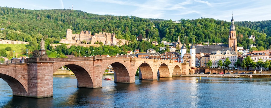 Cruceros fluviales por Heidelberg, Alemania Cruceros fluviales por Heidelberg, Alemania
