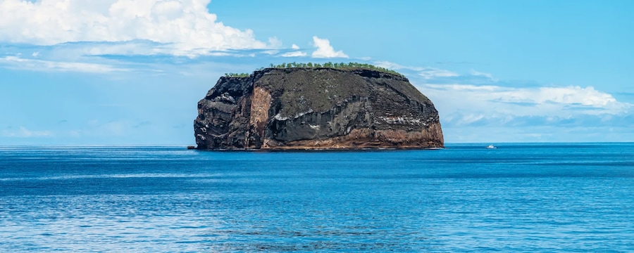 Cruceros por las Islas Daphne, Galápagos Cruceros por las Islas Daphne, Galápagos
