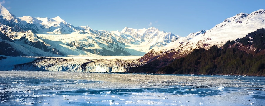 Cruceros por College Fjord, Alaska Cruceros por College Fjord, Alaska