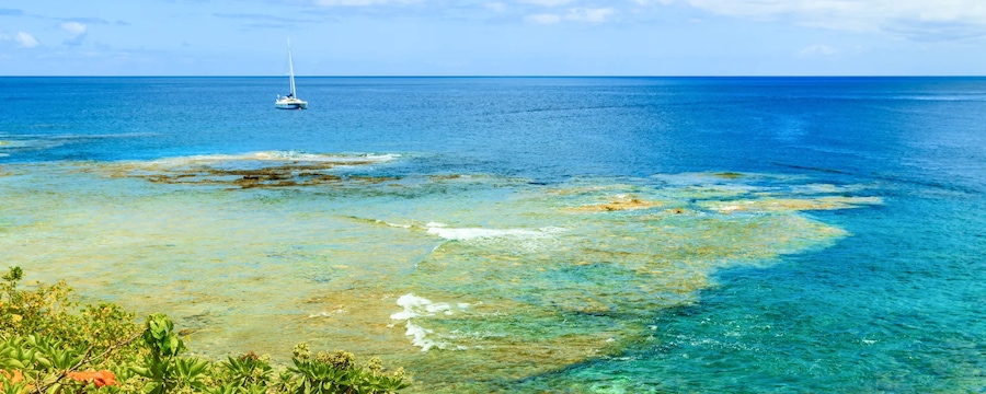 Cruceros por Alofi, Niue Cruceros por Alofi, Niue