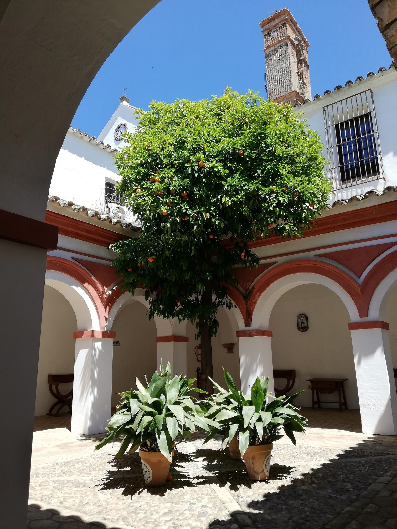 Monasterio de San Francisco