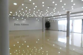 Doña Aldonza