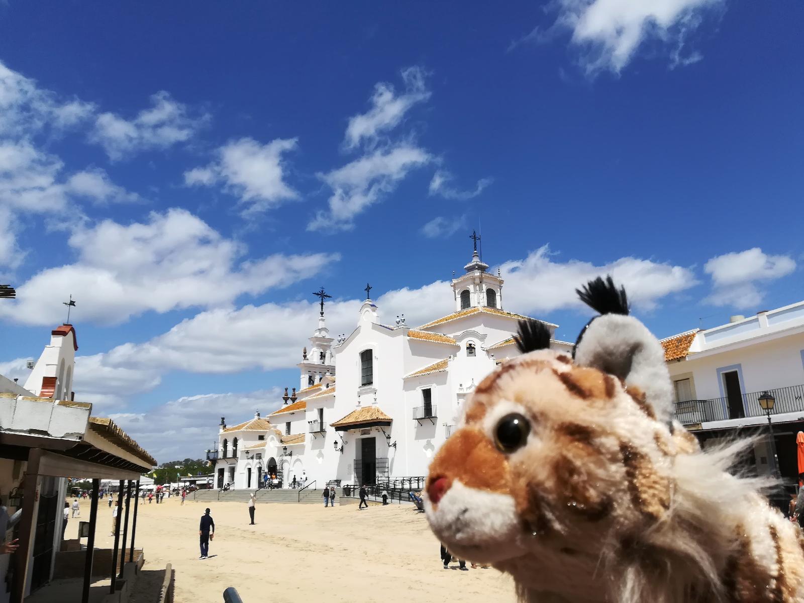 Gran Hotel Del Coto