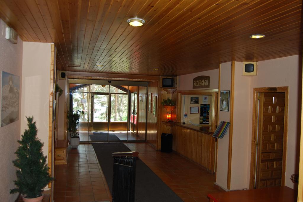 Apartamentos Midi