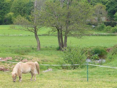 Mill Farm