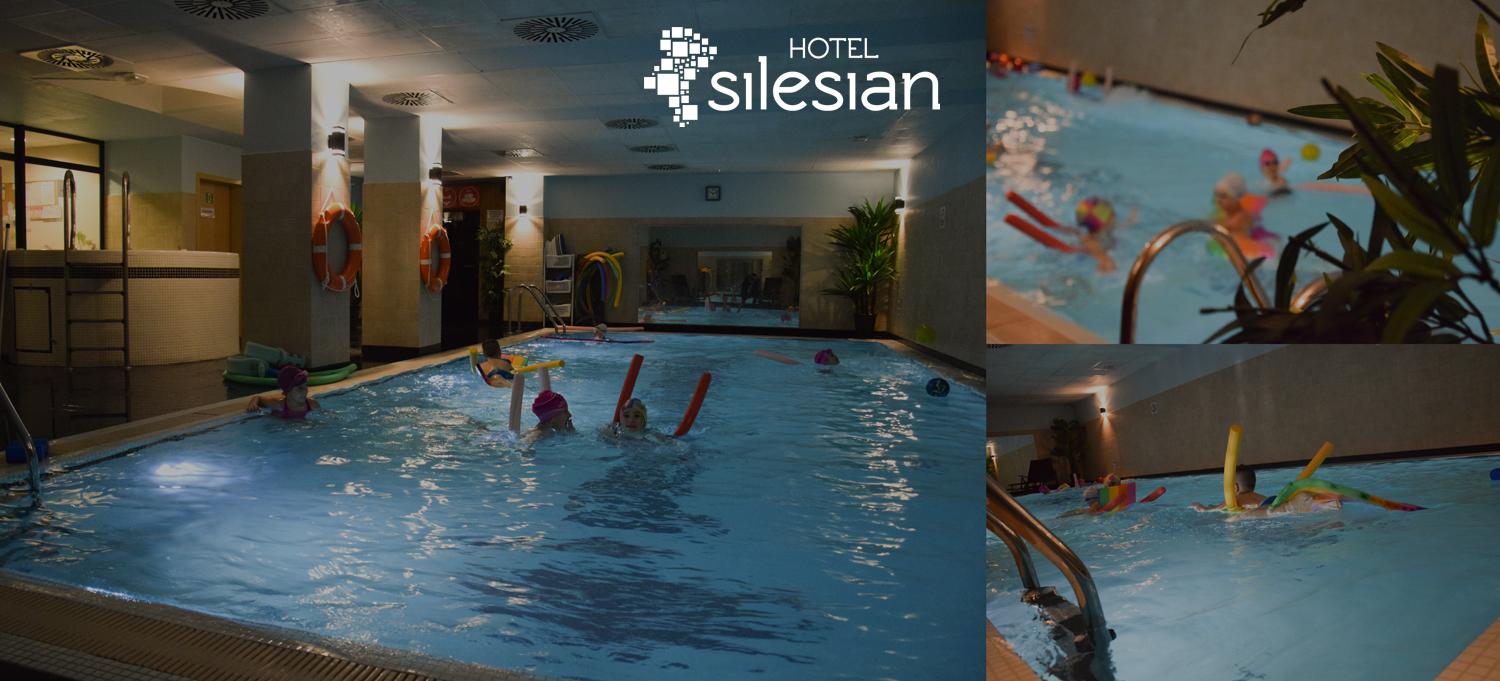 Quality Silesian Hotel