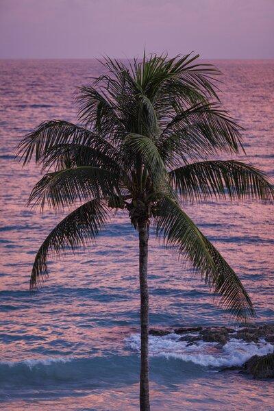 Sandals South Coast