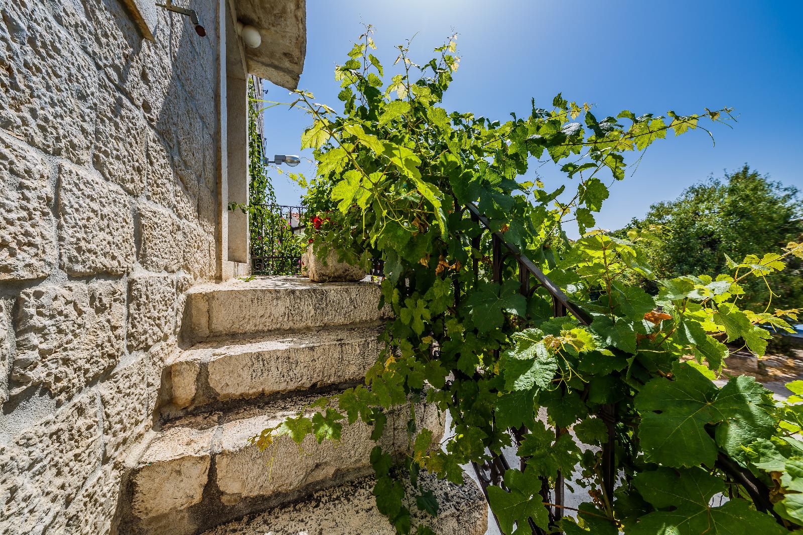 Villa Rustica Dalmatia