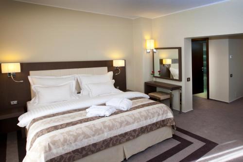 Hotel Pietroasa