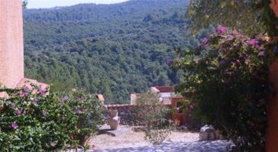 Paradiso Selvaggio