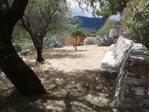 Paradiso Selvaggio