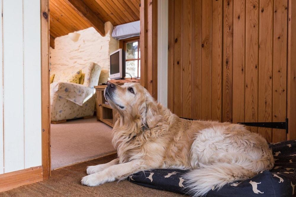 Tregarland Farm B&B
