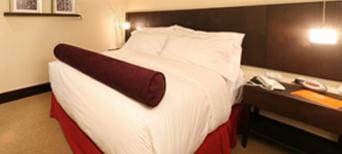 Trinitarias Suites