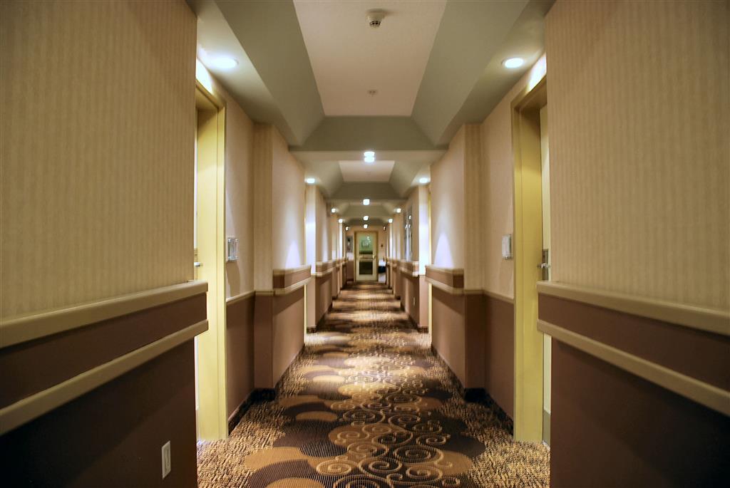 All Stay Suites