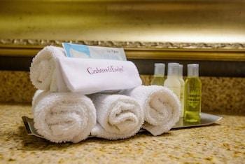DoubleTree Rochester - Mayo Clinic Area