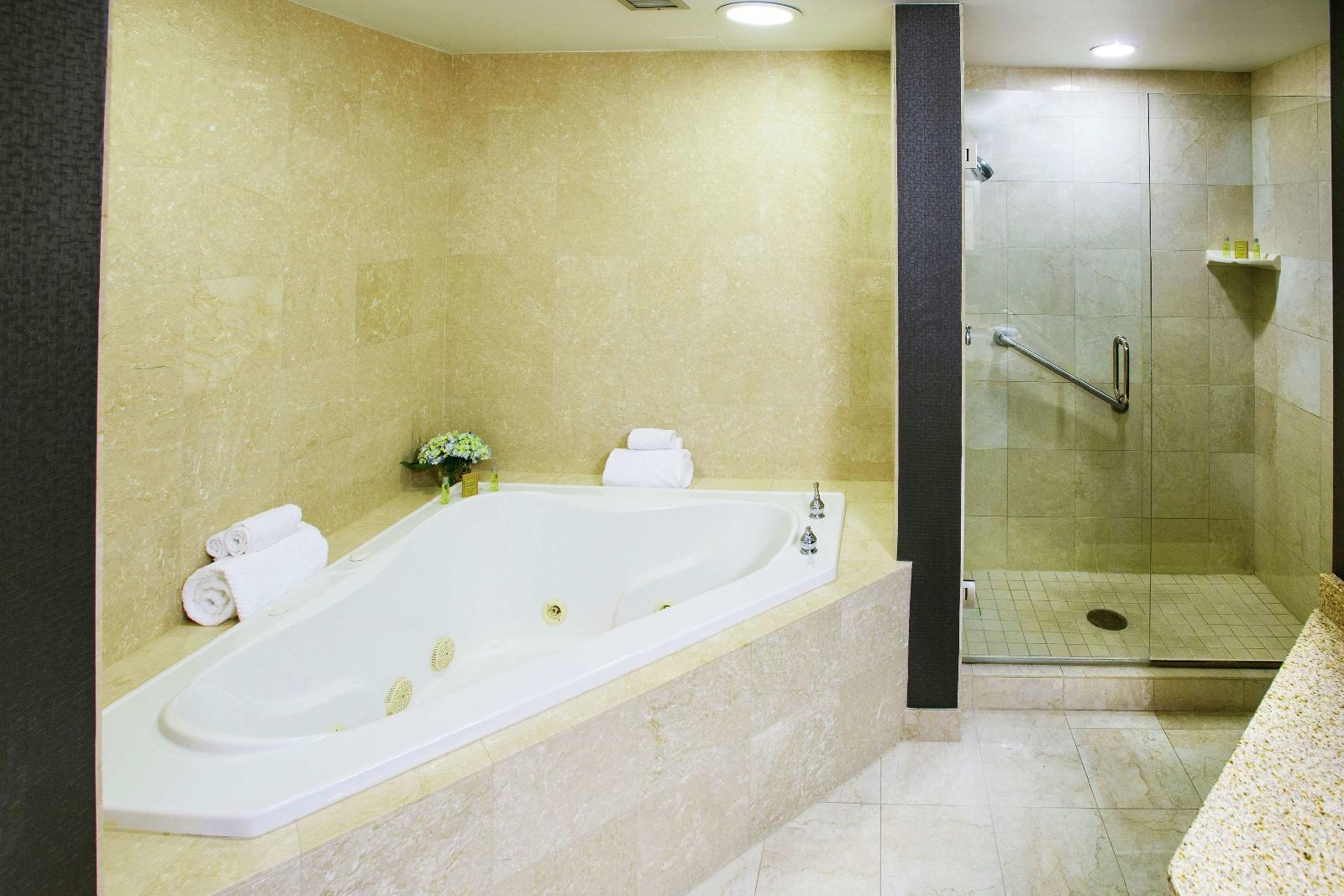 DoubleTree Rochester - Mayo Clinic Area