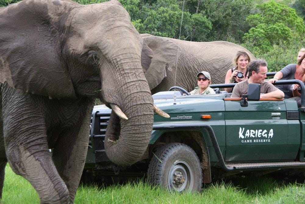 Kariega Game Reserve