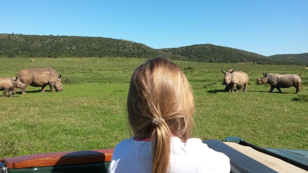 Kariega Game Reserve