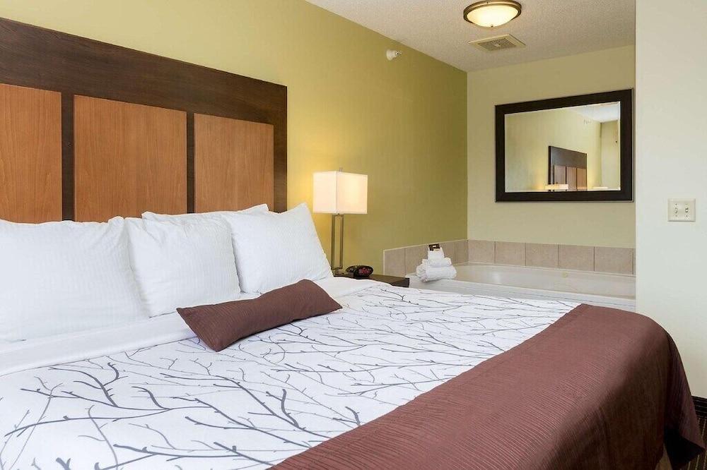 Best Western Plus Holland Inn & Suites