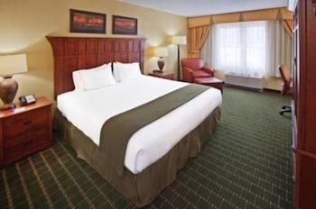 Holiday Inn Express Hotel & Suites Springfield