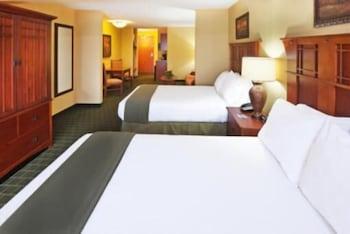 Holiday Inn Express Hotel & Suites Springfield