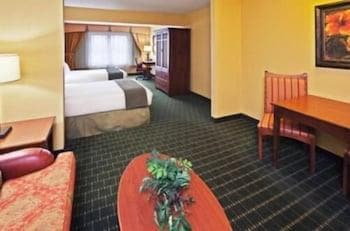 Holiday Inn Express Hotel & Suites Springfield