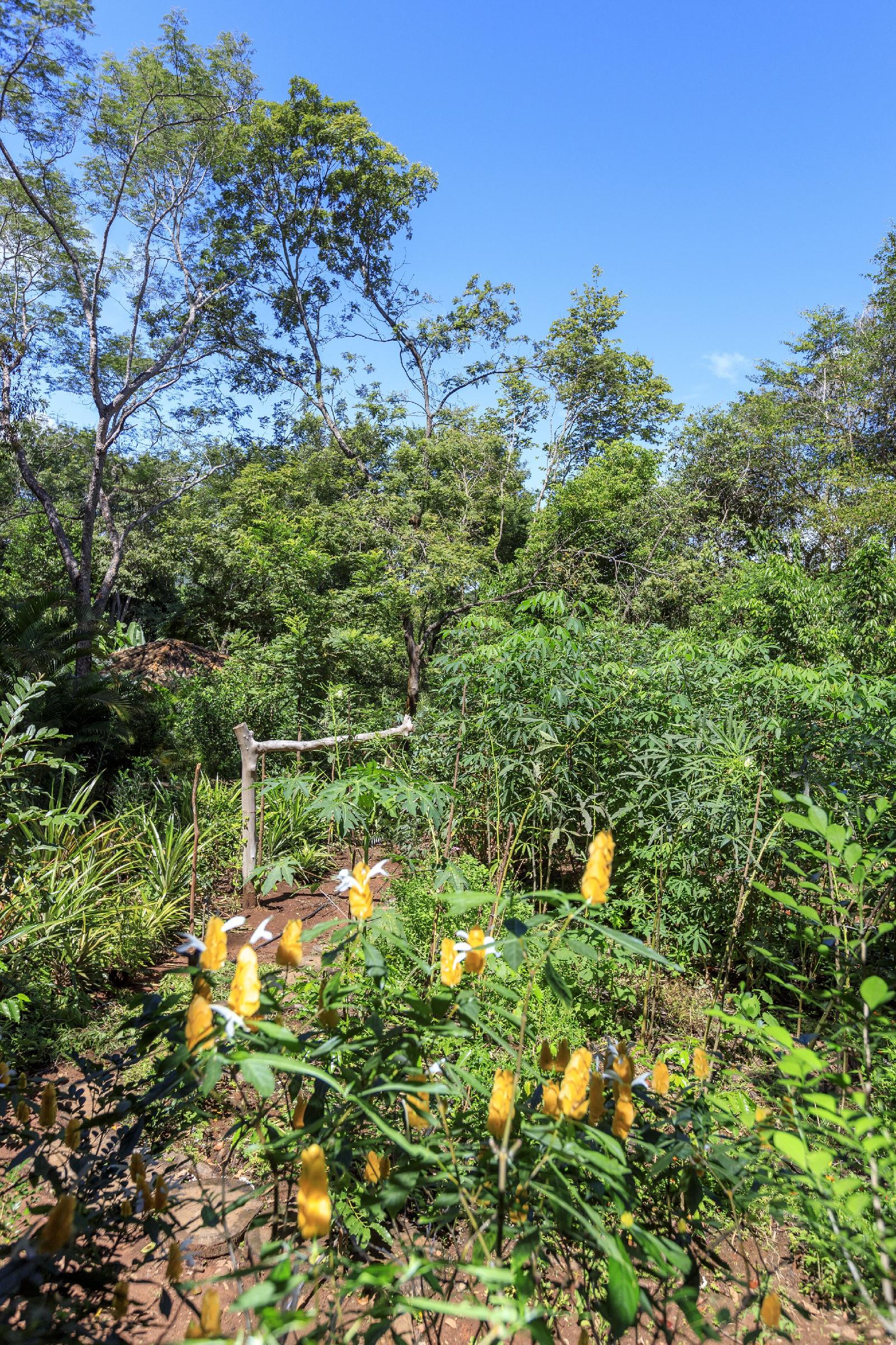 Pousada Canto no Bosque
