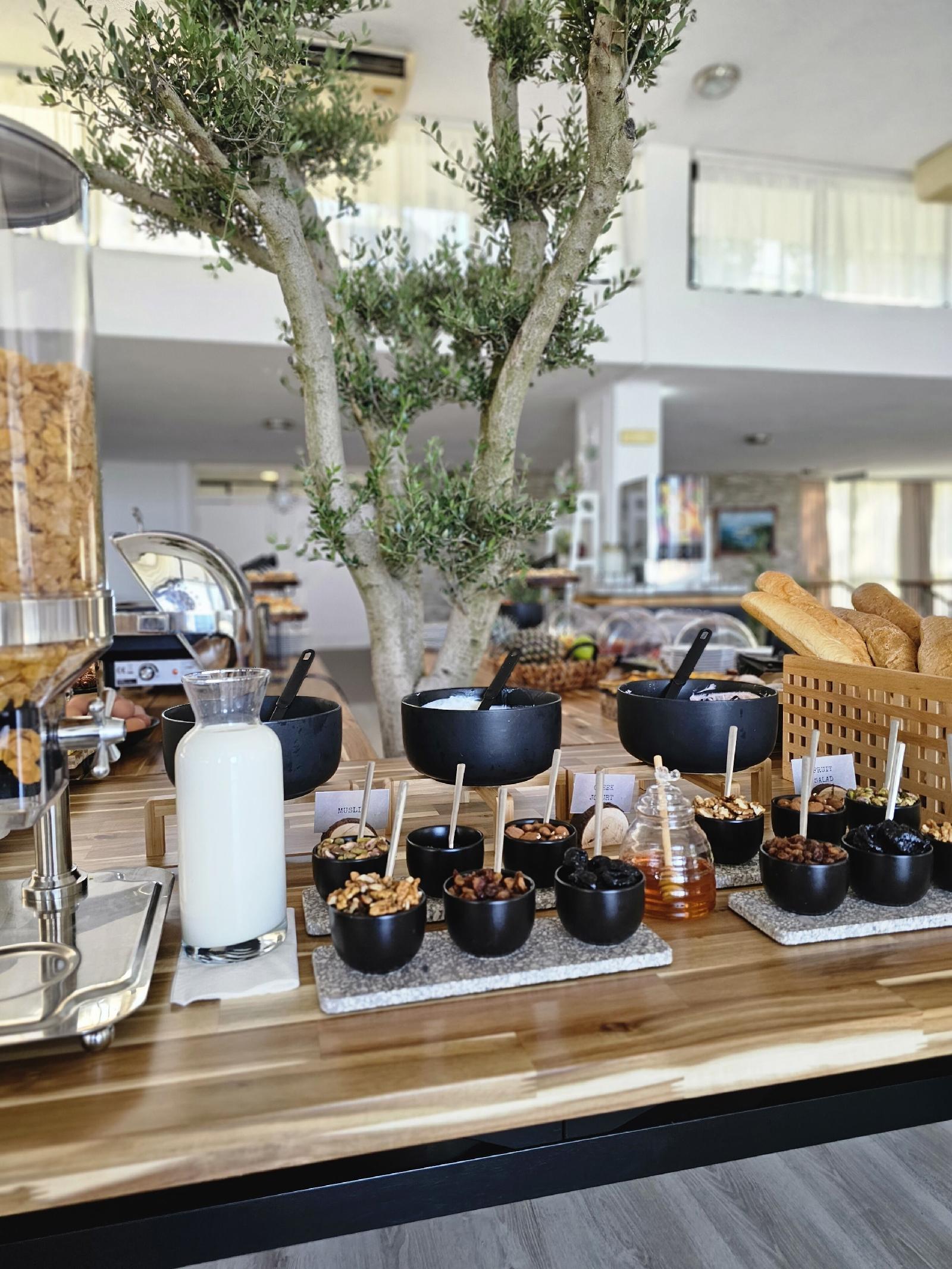 The New Hotel Mediteran Villa Edition