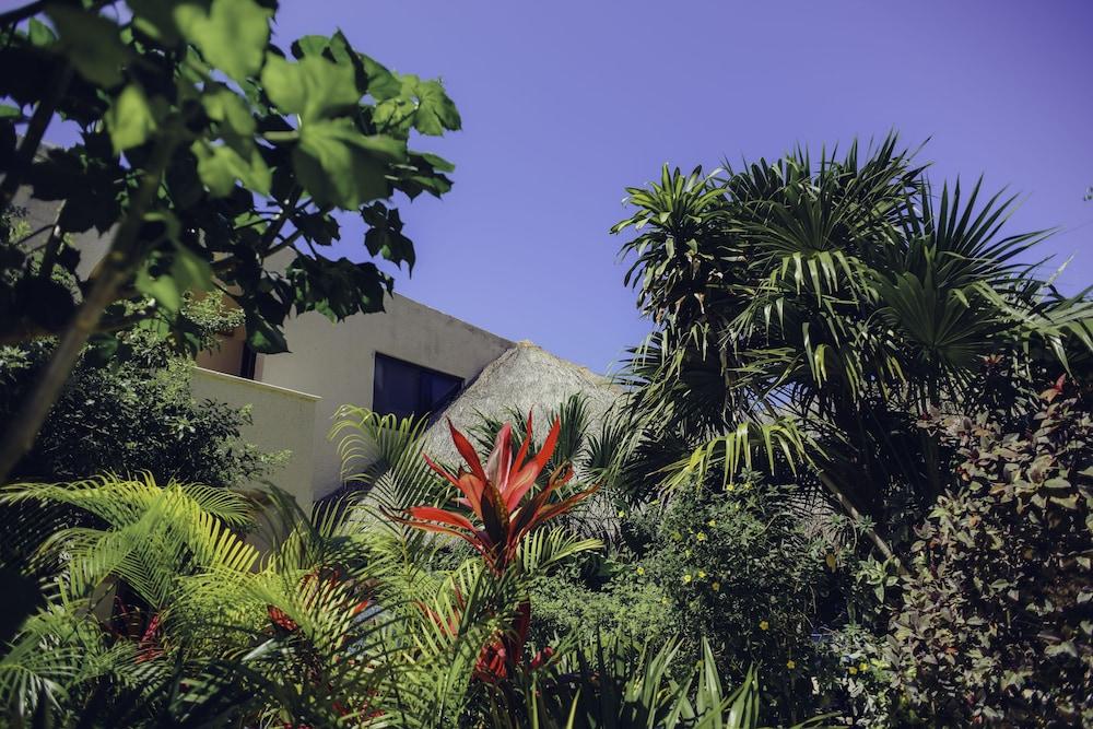 Villas de Rosa
