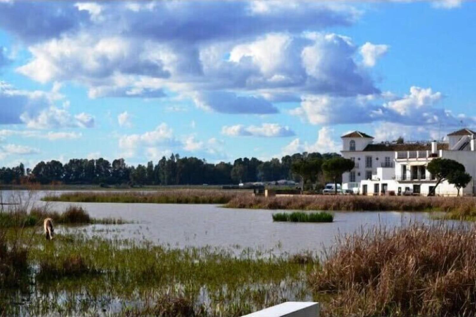 Toruño del Rocío