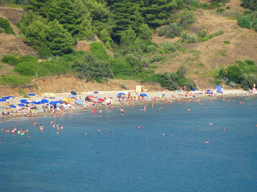 Laguna
